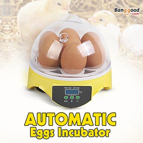 LM EU Automatic Eggs Incubator Mini Incubation Equipment Farm 7 Eggs Household Teaching Experiments