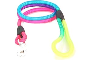 AMOYER Rainbow Pet Dog Nylon Leash Adjustable Bow Slip Lead Rope