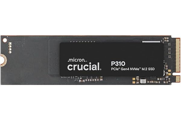 Crucial P310 500GB