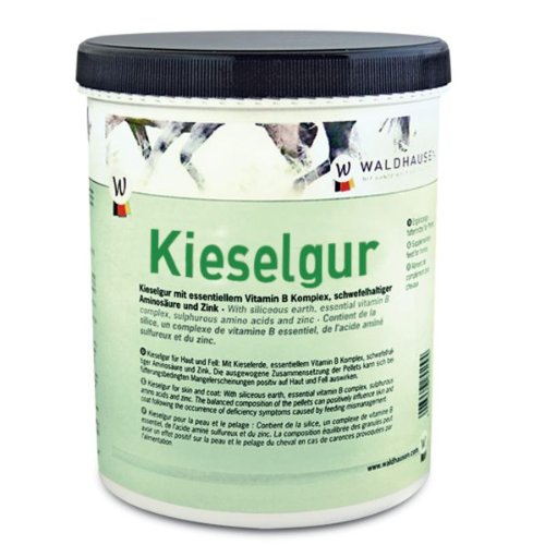 Preisvergleich Produktbild WALDHAUSEN Kieselgur, 1000 g