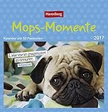 Mops-Momente - Kalender 2017: Kalender mit 53 Postkarten by 