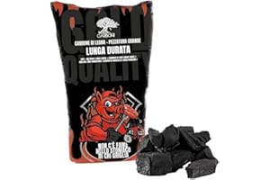 Virsus Carbone di Legna 1 Sacco da 9 kg Netti di Puro Carbone Vegetale per Barbecue, Carbone di legna 100%, Combustibile Ecologico, Naturale, Grill, Grigliata o Barbecue da Tavolo (9Kg)