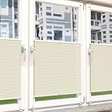 OPTIMALER Sicht- und Sonnenschutz