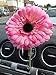 Price comparison product image Car Vase with Pink Gerbera Daisy: for any Car! (High quality-not suction-based)