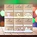 Art Naturals® 6 Piece Soap Bar Set 4 oz. Each | 100% Natural & Infused with Jojoba Oil - Best for all Skin Types, Body & Face, Men & Women (Tea tree, Lavender, Eucalyptus, Lemon, Grapefruit & Orange)