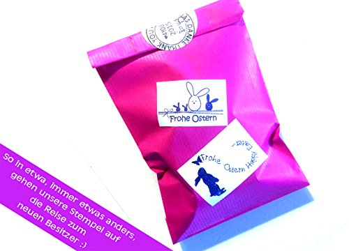 Stempel – K 63M – Kinderstempel Motivstempel – Günni Glücksschwein mit Blume – Bilderstempel zum Ausmalen für Kita – Kinderzimmer – Schule und Beruf - 3