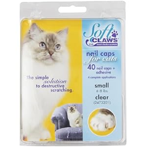 Feline Weiche Krallen Katze Nagel Kappen take-home Kit, klein, transparent