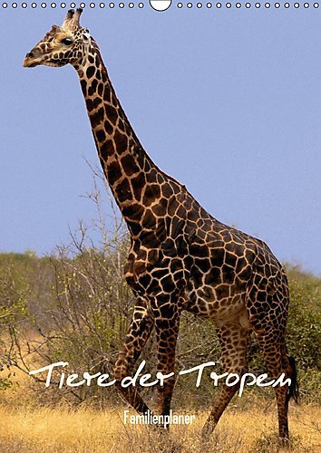 Tiere der Tropen / Familienplaner (Wandkalender 2017 DIN A3 hoch): Begegnungen mit Tieren in tropischen Ländern weltweit (Familienplaner, 14 Seiten ) (CALVENDO Tiere)