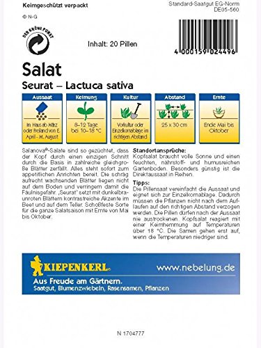 Salat (Salanova-Kopfsalat) Seurat resistent Pillensaat - 2