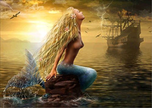 5D DIY Diamond Painting Kit, Mermaid Rhinestone Embroidery Cross Stitch Arts Craft for Home Decor 11.8*15.7 inch (30*40 cm)