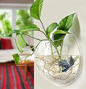 DDSS H. 12'' Base Dia X 12cm Wall Depth Wall Hanging Fish Bowl (NOT Glass) 12 inch White: Acrylic Wall Mounted Plant Pot for Fish and Plant Wall Decor- Clear Transparent