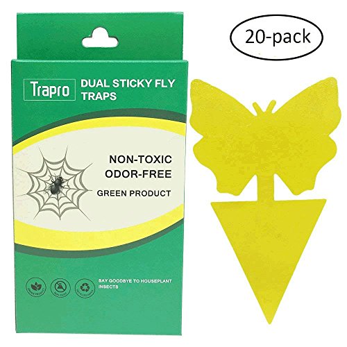 Trapro Dual Sticky Fly Traps for Houseplant Fly Insect Control, Non-Toxic and Eco-Friendly - 20 Pack