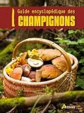 GUIDE ENCYCLOPEDIQUE DES CHAMPIGNONS