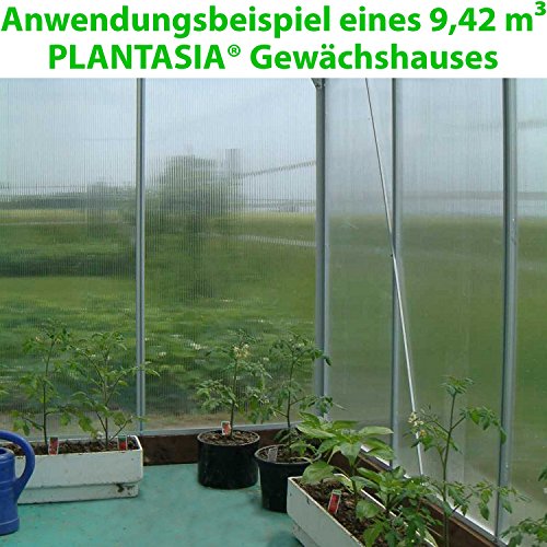 PLANTASIA Alu Gewächshaus mit Fenster, 6 mm Hohlkammerplatten, Größe: 3,94 m³, Aufbauvideo, Gartenhaus, Treibhaus - 8