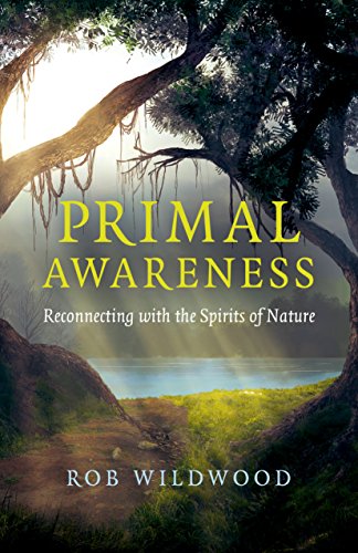 Primal Awareness: Reconnecting With The Spirits Of Nature (English Edition)