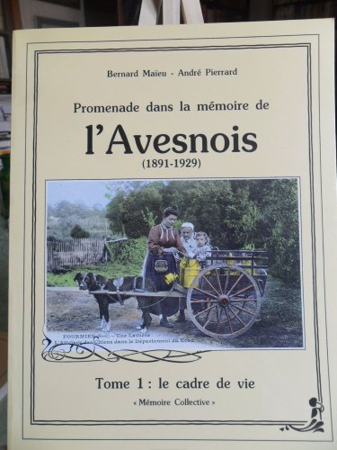 couverture de : Promenade dans la m&eacute;moire de l'Avesnois. 1