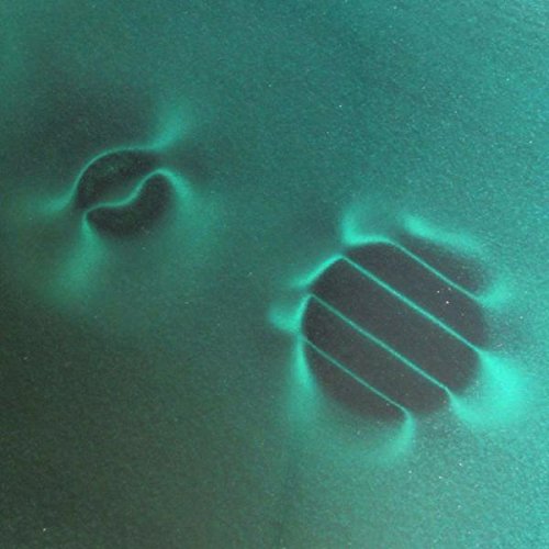 Magnet-shop - Lámina para campos magnéticos (tamaño grande, 150 x 150 cm)