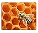 Produktbild Insect Bee Honeycomb Worker Animal Mouse Pads Customized Made to Order Support Ready 9 7/8 Inch (250mm) X 7 7/8 Inch (200mm) X 1/16 Inch (2mm) High Quality Eco Friendly Cloth with Neoprene Rubber Luxlady Mouse Pad Desktop Mousepad Laptop Mousepads Comfortable Computer Mouse Mat Cute Gaming Mouse pad