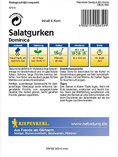 Salatgurken Gewächshaus Schlangengurke Dominica F1 resistent - 2