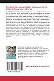 Image de Estudios de compatibilidad intergenérica en Calibrachoa y Nierembergia