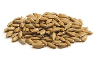 Sementi Dotto Semi di Scagliola 5kg Mangime per Uccelli