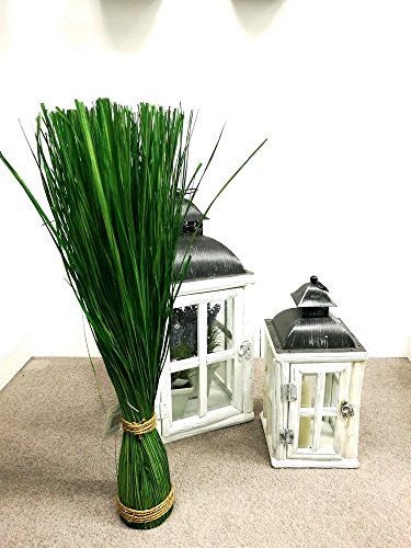 Gras Grasbündel im Garten Grasbund Deko Zweige Grasbüschel (70 cm) - 4