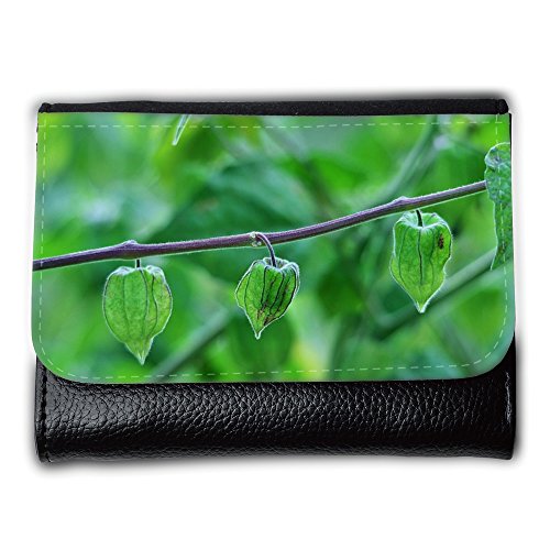 Preisvergleich Produktbild Portemonnaie Geldbörse Brieftasche / / M00237038 Physalis Fruit Stachelbeere / / Medium Size Wallet