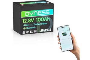 Dyness Batterie Lithium 12V 100 Ah Mini Bluetooth LiFePO4 avec Protection 100A BMS, Batterie Lithium Camping-Car pour kit Panneau Solaire, Caravane