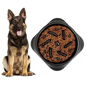 KASBAH Large Dog Bowl, Puzzle Slow Feeder Dog Bowl for Large Dog Interactive Bloat Stop Anti Choking Dog Food Bowl