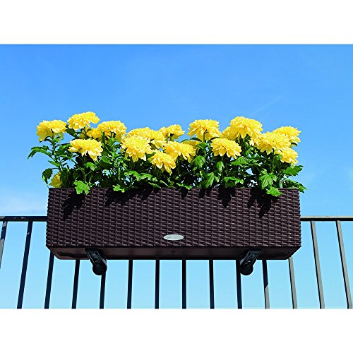 Preisvergleich Produktbild Lechuza Balconera, Einheitsgröße