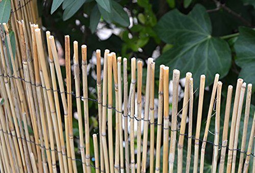 Schilfrohrmatte Sichtschutz Gobi 300×90 cm - 5