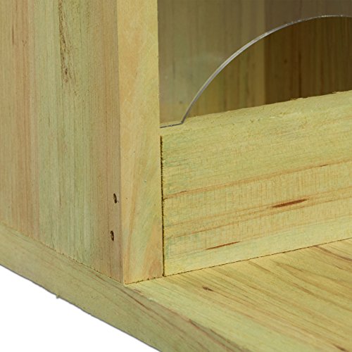 Relaxdays Eichhörnchen Futterhaus zum Stellen, Holz, Wetterfest, HBT: ca. 17,5 x 12 x 25 cm, grün - 4