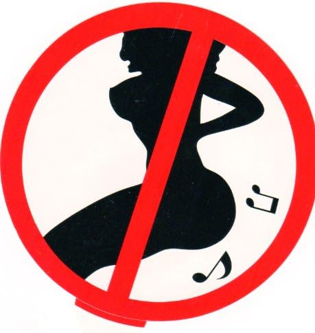 not allowed ladies break wind sign rude sign, car, boat, house decal fun stickers.