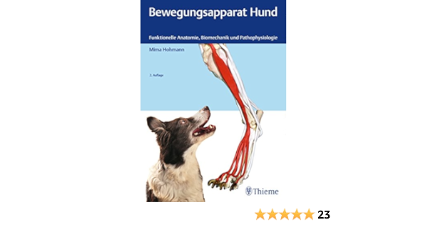 Bewegungsapparat Hund Funktionelle Anatomie Biomechanik Und Pathophysiologie Ebook Hohmann Mima Amazon De Kindle Shop