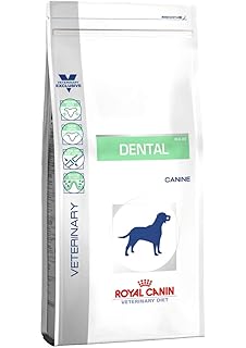 royal canin dental veterinary diet