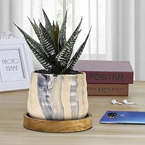 Lasaki PL99 Pastel Blue Ceramic Pot with Wooden Plate (WP5) for Indoor Plants || Planters, Flower Pots, Gamla, Table Top, Outdoor, Succulent, Cactus Plant Pot Container Planter (Set of 1)