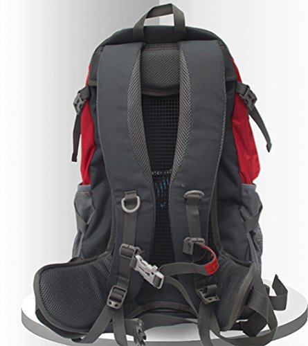 wnnideo 35L interne Rahmen Rucksack Wasserdicht Wandern Rucksack Wanderrucksack Trekking Tasche für Klettern, Camping Wandern, Bergsteigen, Reisen und (pn-09789) Rot