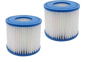 WuYan 2 szt. filtr do letnich ucieczek POOLPURE filtr typu D, letnie fale P57100102, do SFS-350 RP-350 RP-400 RP-600 RX-600