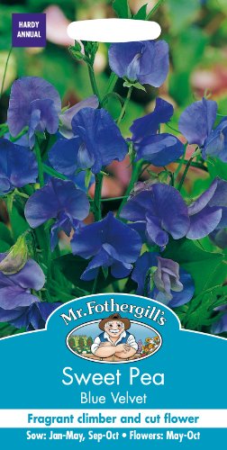 Mr. Fothergill's Velvet Sweet Pea Flower Seeds- Blue