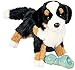 Produktbild Cuddle Toys 2025 Trevor BERNESE MOUNTAIN DOG Berner Sennenhund Hund Schweiz Kuscheltier Plüschtier Stofftier Plüsch Spielzeug