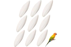 CPJJ Os de Seiche,10 Pièces os de seiche oiseaux,Os de calmar Seiche Jouets à Mâcher 5-7CM Jouet Oiseaux Perroquet Jouet pour Oiseaux Becs Pointus,Tortue,Escargots