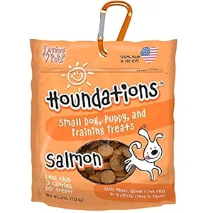 GlobalNiche Houndations Training Treats 4Oz - Salmon (Pack of 3)