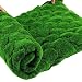 Produktbild Clevoers Grasmatte Frühlingswiese für Garten Dekoration 100 x 100 cm