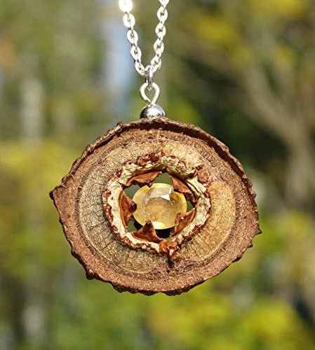 Pendant made of EUCALYPTUS Pod and oval SAPPHIRE + Sterling Silver necklace