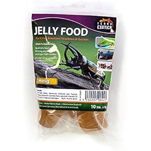 Jelly Food - Honig 10 Stück im Beutel , Fruitjelly , Beetlejelly - 10 x je 16g