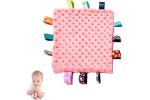 HECCEI Baby Tags Security Blanket, Baby Comforter Tag Blanket, 10 × 10 inchs Cozy Plush Blankets with Colorful Tags, Infant Appease Blankets for 3+ Months Babies Boys/Girls