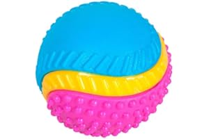 Sharples Beef Scented Five Senses rubber ball for dogs, medium