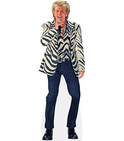 Silhouette En Carton De Rod Stewart (mouche) (taille Réelle