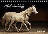 Pferde in Sonderfarben 2017 (Tischkalender 2017 DIN A5 quer): Einzigartige Pferde mit ganz besonderen, seltenen und daher umso fazinierenderen Fellfarben. (Monatskalender, 14 Seiten ) (CALVENDO Tiere) by 