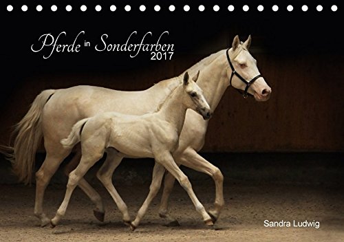 Pferde in Sonderfarben 2017 (Tischkalender 2017 DIN A5 quer): Einzigartige Pferde mit ganz besonderen, seltenen und daher umso fazinierenderen Fellfarben. (Monatskalender, 14 Seiten ) (CALVENDO Tiere)
